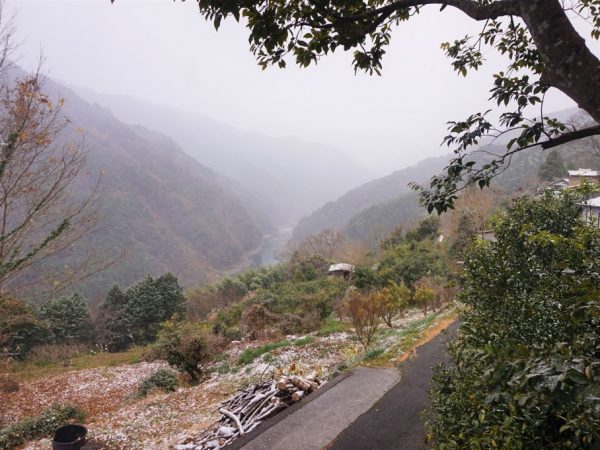 宿の庭先から吉野川の絶景を楽しめる