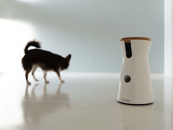 モニターは各階のエレベータ前に。これならペットも人も安心して生活できるだろう。　提供：インサイトハウス