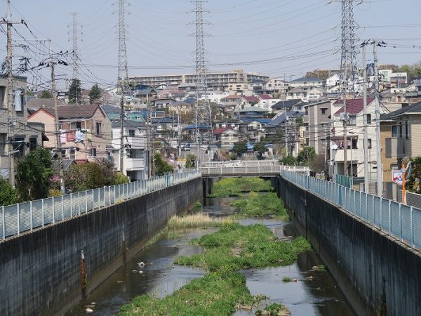 平瀬川。正面に見える津田山の下を通って溝の口の市街地で再び姿を現す。写真提供/鈴木喜雄氏