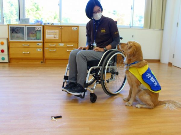 PR犬は、同センターの見学会や小学校の授業でなどでデモンストレーションを行っている。カギ・スマホ・コインを拾って届ける、靴下を脱がせる、冷蔵庫を開けるのもお手のもの。常にしっぽをふりふりして、楽しそうに仕事をしている様子が印象的！