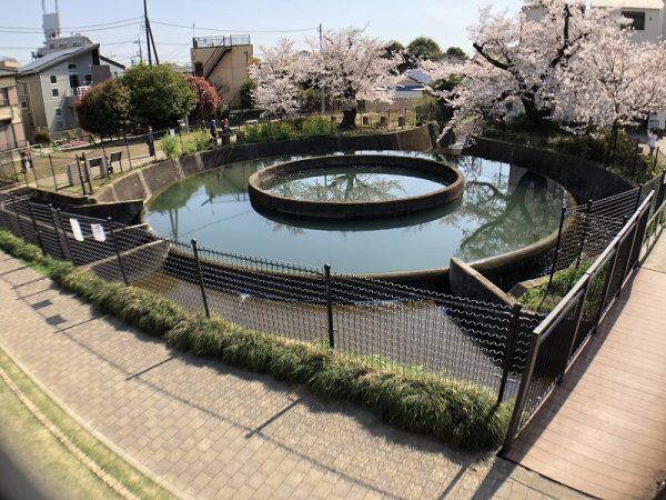 平瀬川。正面に見える津田山の下を通って溝の口の市街地で再び姿を現す。写真提供/鈴木喜雄氏