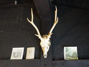 鹿の骨が、山の暮らしを想像させる