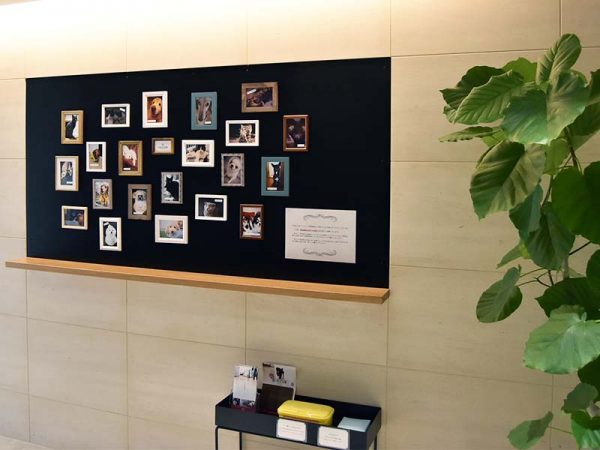 エントランスに飾られているペットの写真。下には自由に使えるペット用のシートが置いてある