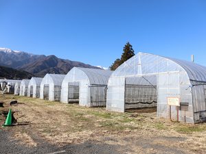 田切農産での農作業体験を通じて、年150万円程度を副業で稼ぐノウハウを学ぶことも