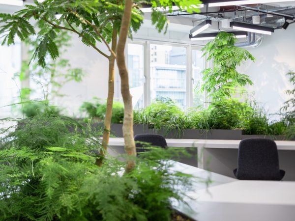 コモレビズを導入したコワーキングスペース。緑に囲まれている