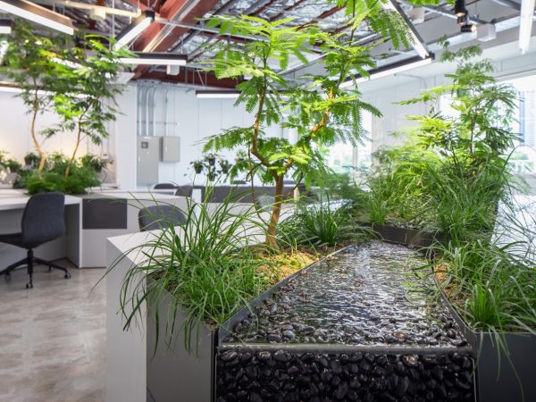 「CANAL CABIN」の一角にあるせせらぎ。水の音が心地よい