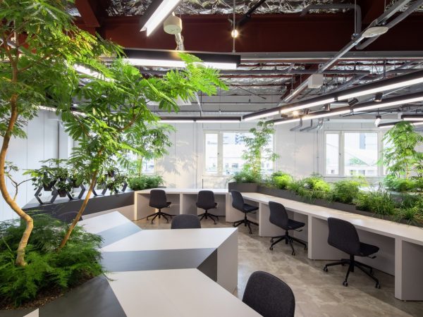 パソナ・パナソニック ビジネスサービス株式会社</br>
代表取締役副社長 岩月隆一氏
