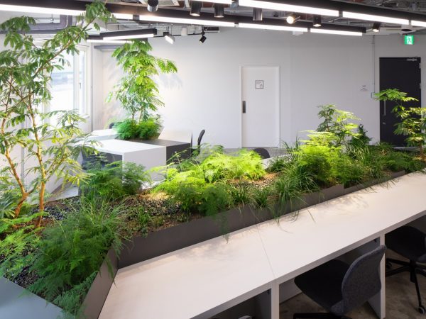 天井まで届きそうな樹木