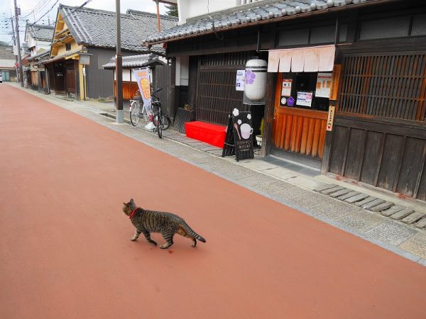  「離れ」にのうみ周辺を散歩してみるものおすすめだ
