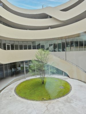 円形の中庭「風のパティオ」