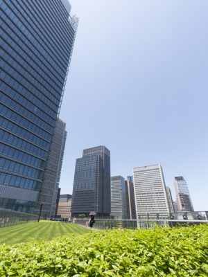 オフィスビルの屋上緑化