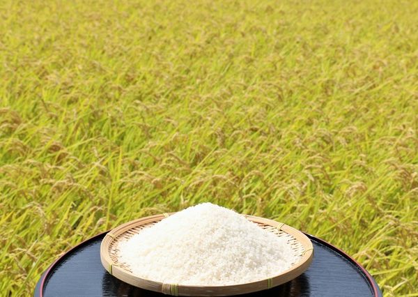 稲作は神聖なものであり、稲作に関する祭りは重要なものとされた