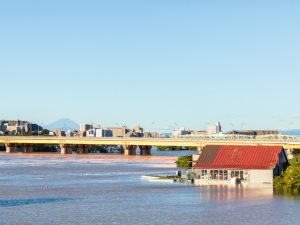 台風19号豪雨水害　荒川河川敷