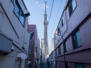 平米単価は城東地域が低い傾向にある