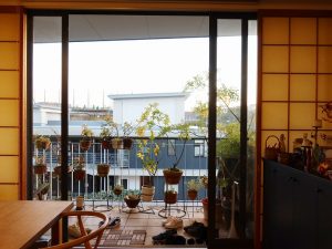 最後に見せていただいたお宅の玄関部分。土間になっていて植物がいっぱい