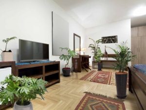 ▲大鉢１鉢、中鉢2鉢、小鉢4鉢が毎月届けられる「インテリアグリーンのサブスク」コースは月額9900円から。メンテナンス不要で“グリーンのある暮らし”を楽しめる