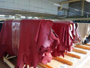 海外から輸入した牛革は、折じわを伸ばすために、自然な形になるよう台に掛けておく。この状態を“馬掛け”という。カリモクでは国内では姫路、海外ではイタリアを中心に革を仕入れている