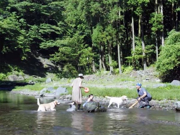 庭の大きな木に作られたブランコで遊ぶお子さんの姿がとても印象的な紹介動画。自然に囲まれた環境での子育ては心にもゆとりが持てそうだ