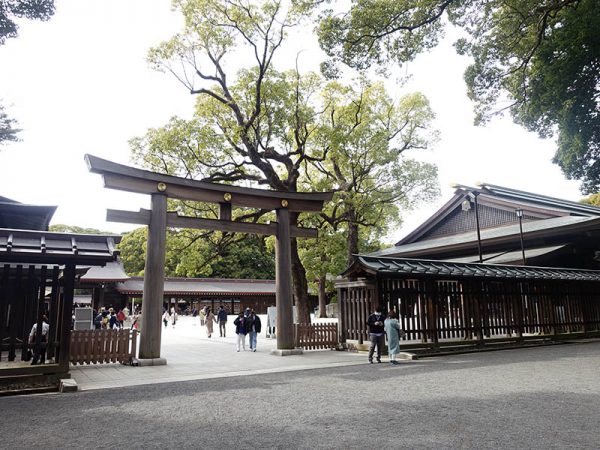 豊かな緑の中に都会の要素も感じられる明治神宮内