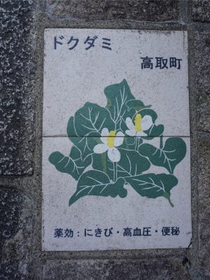 高取町のメインストリート、土佐街道には、薬草とその効能が書かれたタイルが埋め込まれている