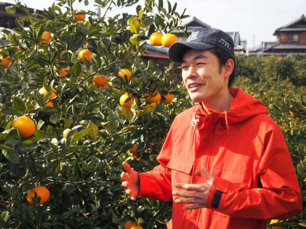 お話を伺った、みかんのみっちゃん農園の小澤さん