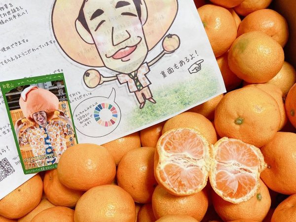 お話を伺った、みかんのみっちゃん農園の小澤さん