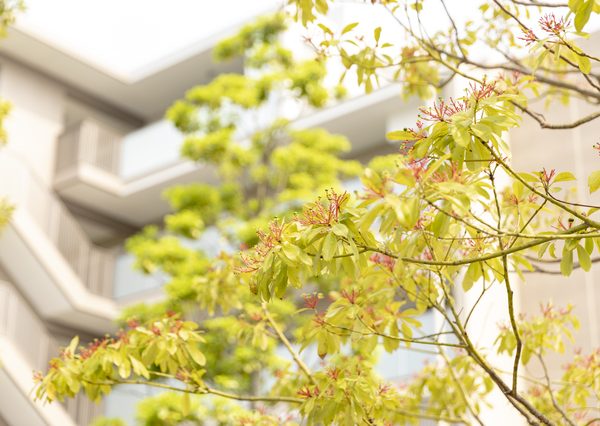 管理が不十分なマンションや管理組合が機能していないマンションは、資産価値への悪影響も懸念される。適切な管理が継続され管理不全に陥らないようにしていきたいものだ