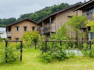 無塗装なので時間の経過とともに色が変わっていく。敷地内だけでも変化が如実