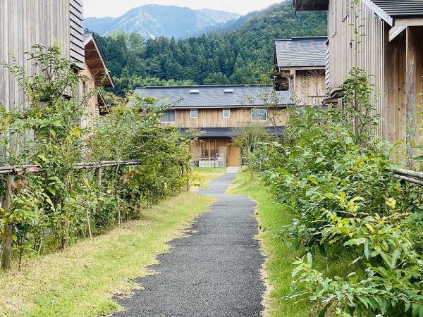 駐車場は敷地外周部に設けられており、敷地内で車と人の動線が交わることはない