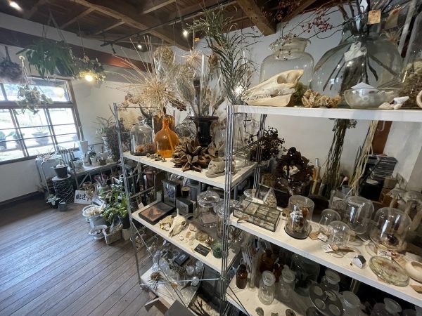 地元のおいしいお酒をはじめ、このエリアならではのメニューも揃う