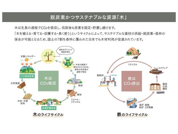 木は、そのライフサイクルの中でCO2を吸収する（資料提供：三井ホーム）