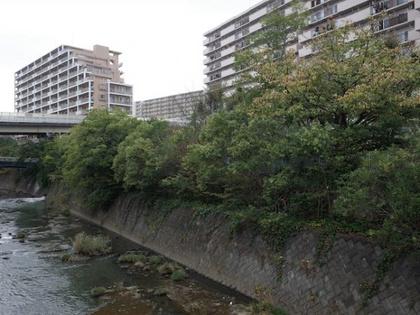 鶴ヶ峰住宅営団跡の入口