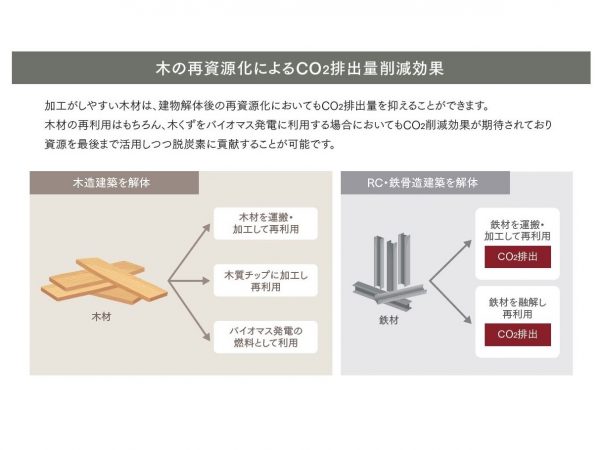 木は、そのライフサイクルの中でCO2を吸収する（資料提供：三井ホーム）
