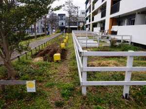 敷地を利用したシェア農園も備えている。アクセントとしてオレンジや黄色を加え楽しい雰囲気を感じる