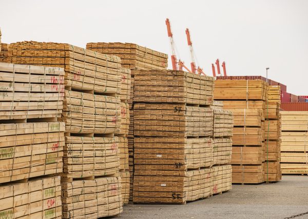 資材・エネルギー価格の上昇が、国内の不動産価格の更なる高騰を招き、需要を後退させる可能性もある