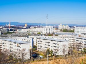 多摩ニュータウンは、4市にまたがるマンモス団地だ。「昭和40年代には住棟配置も成熟化し、効率よく大量に建設できるようになってきます」（照井氏）