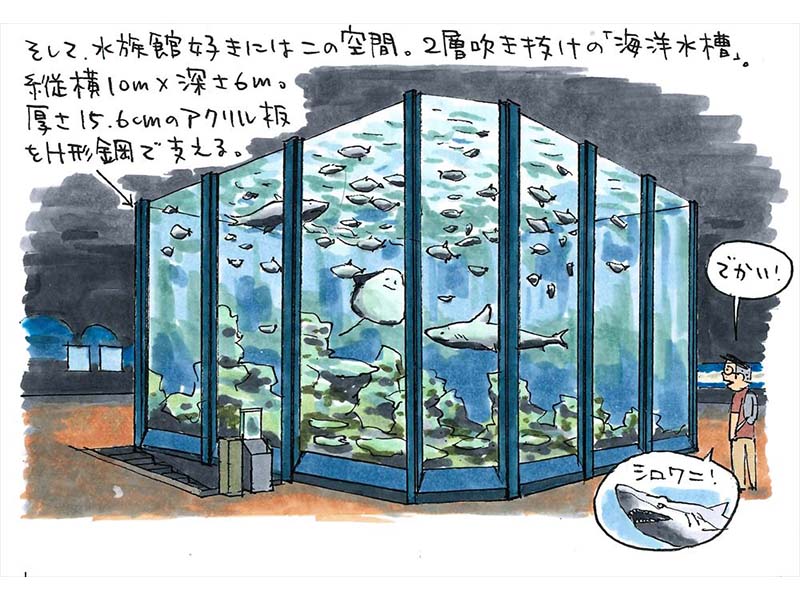 水族館学 : 水族館の発展に期待をこめて Amazon.co.jp: 水族館学: 水族館の発展に期待をこめて (東海大学