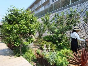 敷地内の水やりも30人ほどで分担。これなら月に１日だけなので無理なく続け、関わり続けられる