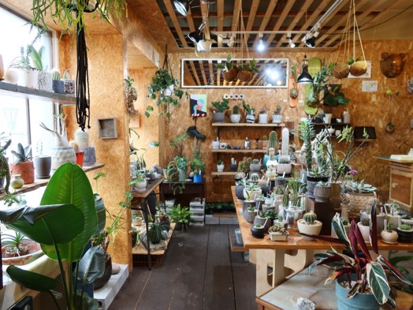 階段を中心に左右で異なるものを扱う店、混沌。こちらはレトログッズの売り場