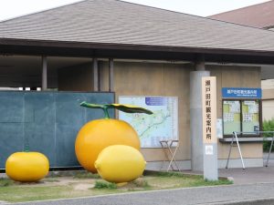 観光案内所の前にあった柑橘類のオブジェ。商店街内にもレモンイエローがあちこちにあった