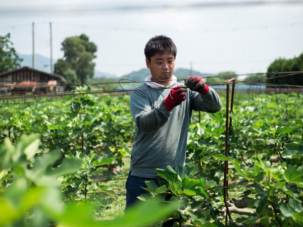 リノベーション前の「野島小学校」。建物はほぼそのまま活用され、各所に小学校の面影が残る。写真提供：パソナグループ