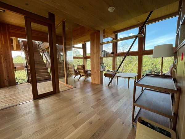 「禅坊料理」。淡路島産の山菜をふんだんに使ったメニューは、麹や発酵が中心のメニューとなっている