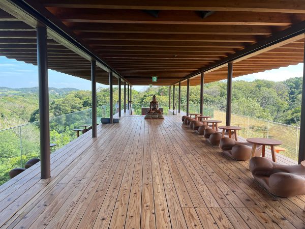 天井には、紙管が用いられている