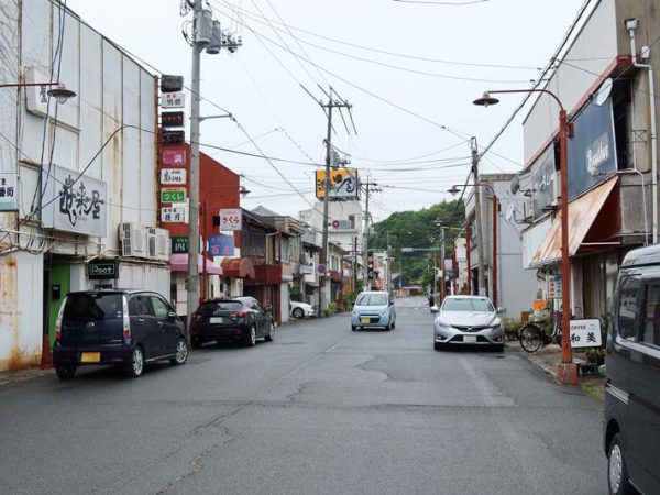 東山ビルから見た宇野港。写真左手の赤い屋根の建物の奥に駅があり、そこから1キロ圏に街の大半の機能が集中している
