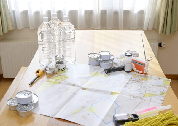 出典：国土交通省 ～防災・安全交付金等　令和４年度当初予算で実施される津波対策～添付資料<br>
ハードとソフトが連携した津波対策 ～静岡県・静岡市～<br>
https://www.mlit.go.jp/report/press/content/001491126.pdf