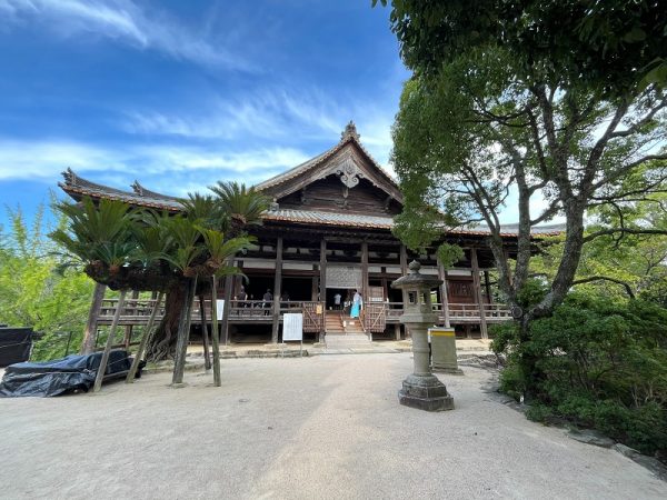 平沼氏による間伐材を利用した新たな木造建築の取り組み。積層した木造ブロックの間から光が差し込む（2009年9月 国立国際美術館にて）