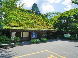 ▲岐阜県下呂市にある『下呂温泉 合掌村』。JR高山本線下呂駅からバスで約6分、マイカーの場合は中央自動車道中津川I.C.から約1時間で到着する。下呂温泉は有馬・草津に並ぶ「日本三名泉」のひとつとして知られ、中心街の飛騨川周辺には30棟を超える温泉旅館や民宿が立ち並んでいる
