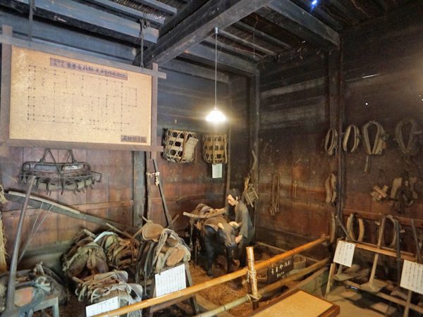 ▲国の重要文化財『旧大戸家住宅』には、天保4（1833）年から弘化3（1846）年まで約13年をかけて建造されたという棟札が残されている。大戸家は平家の落ち武者（平経盛）がルーツとされていて、衆議院議員・平沢勝栄氏の生家でもある