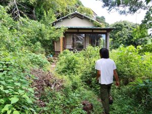 母屋を出たところからお茶室を見たところ。庭が広い！