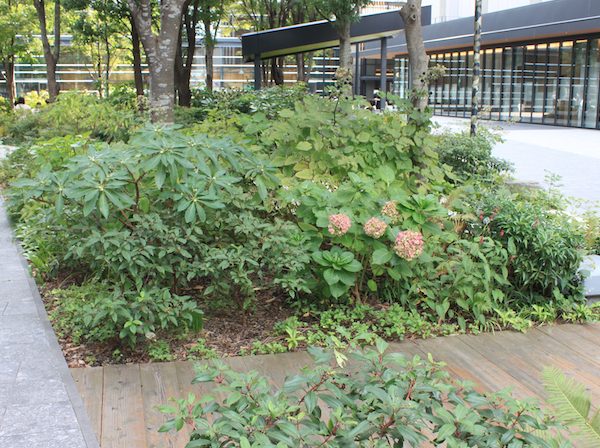 東屋、屋台、キッチンカー、ベンチなど、多面的な装置がこの場所に立体的な魅力を与えている